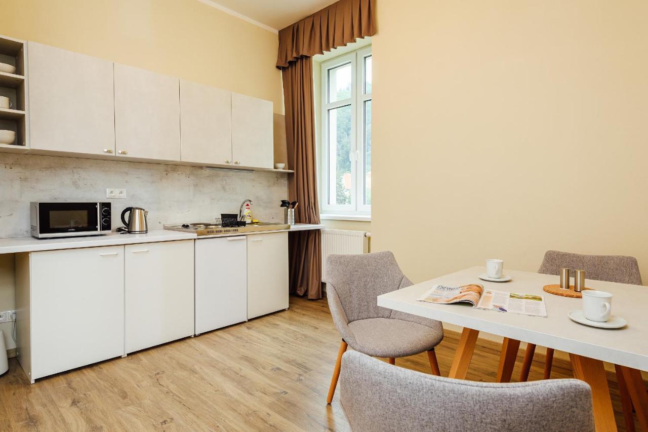 Apartmanovy Dom Grand - Contactless Check In 特伦钦温泉区 外观 照片
